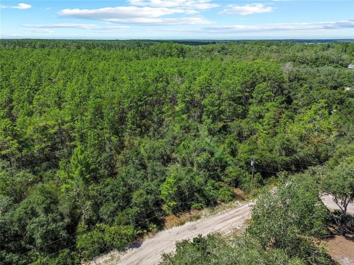 Ideal for Your New Home or Getaway! 0.25 Acres, Marion, Florida 5020-010-007 - Image 4