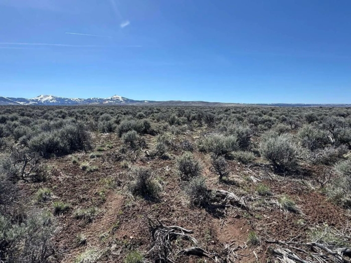 Escape to the Wide-Open Beauty 10 Acres, Lake, Oregon Map and Taxlot: 37S22E00-00-01700 | Account: 10473 - Image 7