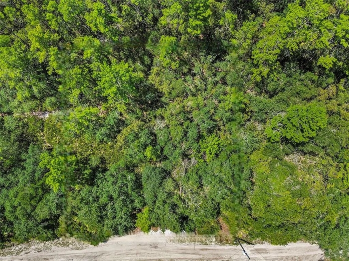 Ideal for Your New Home or Getaway! 0.25 Acres, Marion, Florida 5020-010-007 - Image 6