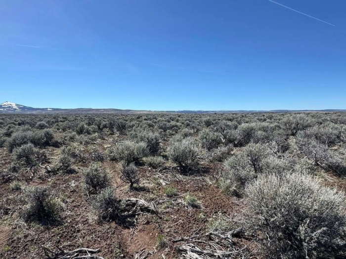 Escape to the Wide-Open Beauty 10 Acres, Lake, Oregon Map and Taxlot: 37S22E00-00-01700 | Account: 10473 - Image 8