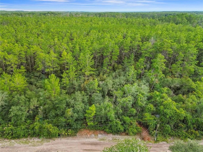 Ideal for Your New Home or Getaway! 0.25 Acres, Marion, Florida 5020-010-007 - Image 7