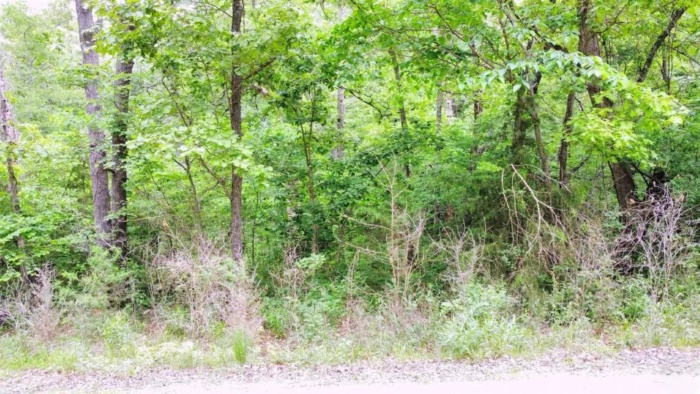 Build Your Dream Retreat 2.84 Acres, Benton, Missouri 15-6.0-14-002-005-042.000 - Image 8