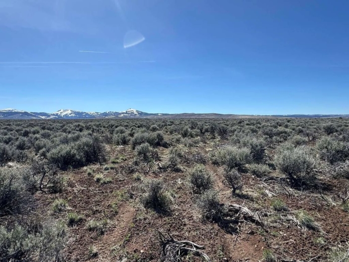 Escape to the Wide-Open Beauty 10 Acres, Lake, Oregon Map and Taxlot: 37S22E00-00-01700 | Account: 10473 - Image 9