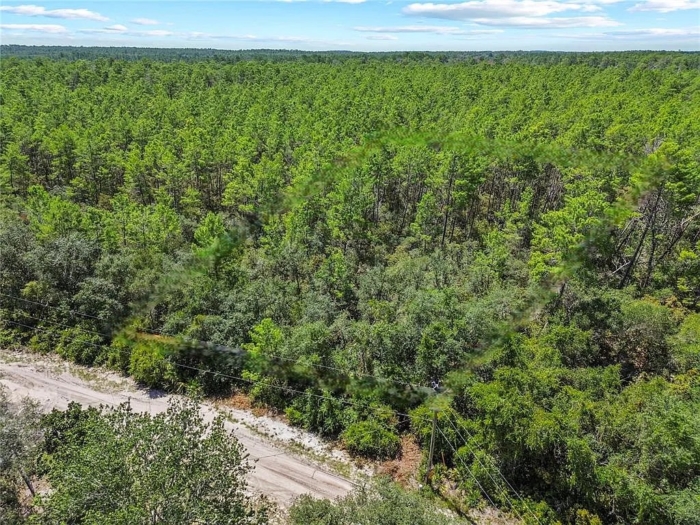 Ideal for Your New Home or Getaway! 0.25 Acres, Marion, Florida 5020-010-007 - Image 8