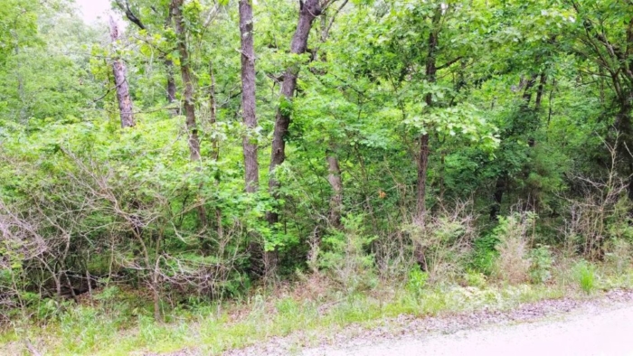 Double the Space, Double the Freedom 5.87 Acres, Benton, Missouri 15-5.0-15-000-001-004.000 and 15-6.0-14-002-005-042.000 - Image 9