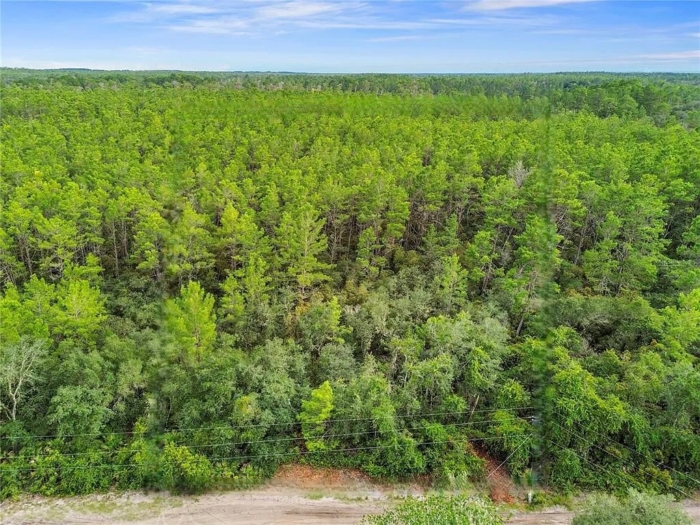 Ideal for Your New Home or Getaway! 0.25 Acres, Marion, Florida 5020-010-007 - Image 9