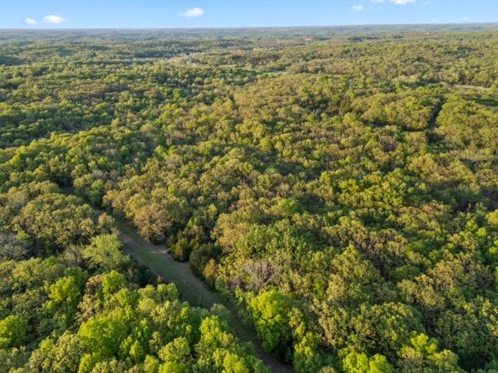 Serene Ozark Retreat 9.441 Acres, Benton, Missouri 041 / 038 / 037
