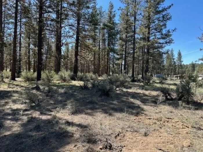 Perfect for Your Homestead 2.75 Acres, Klamath, Oregon R468899 - Image 2