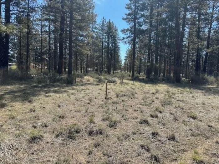 Perfect for Your Homestead 2.75 Acres, Klamath, Oregon R468899 - Image 3