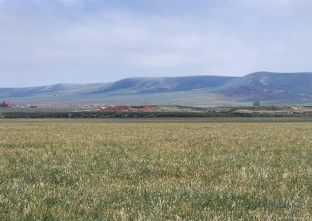 Build Your Dream Retreat 35.01 Acres, Albany, Wyoming 05-2274-33-1-04-001.00 - Image 3