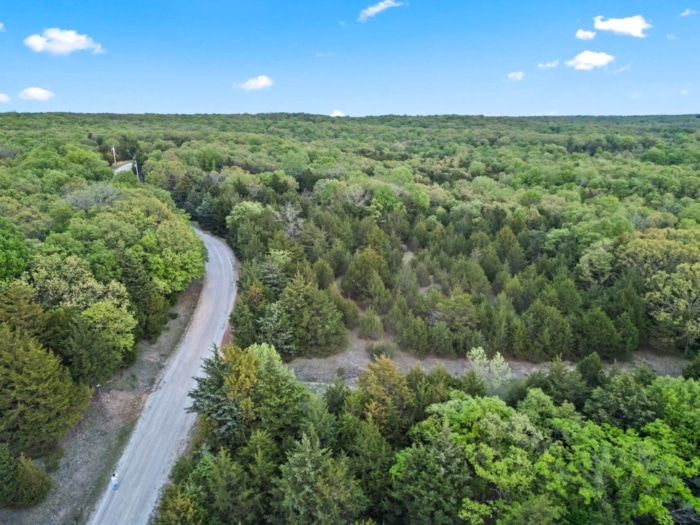 Serene Ozark Retreat 9.441 Acres, Benton, Missouri 041 / 038 / 037 - Image 3