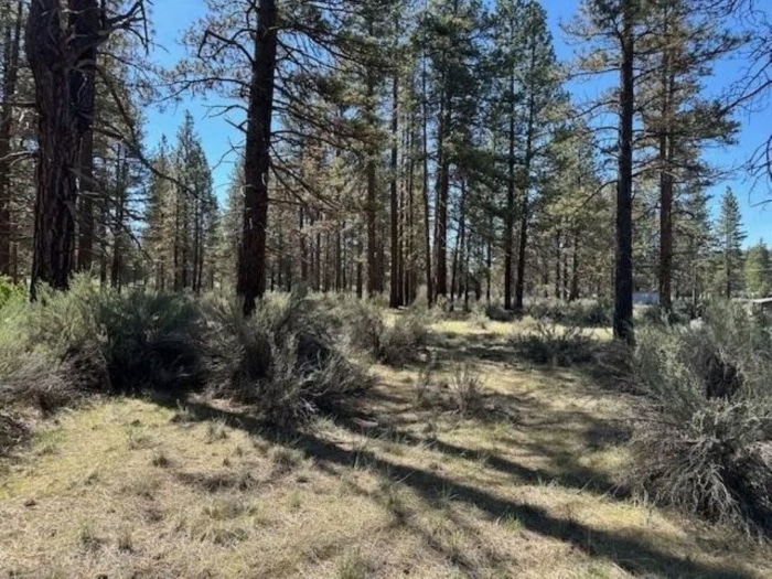 Perfect for Your Homestead 2.75 Acres, Klamath, Oregon R468899 - Image 4