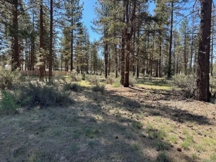 Perfect for Your Homestead 2.75 Acres, Klamath, Oregon R468899 - Image 5