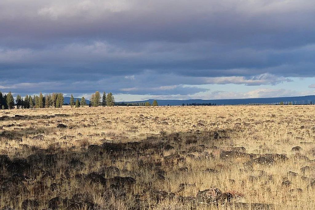 Your Chiloquin Oregon Sanctuary 9.3 Acres, Klamath, Oregon Map and Taxlot: 3313-01300-03800 | Account: 176384 - Image 4