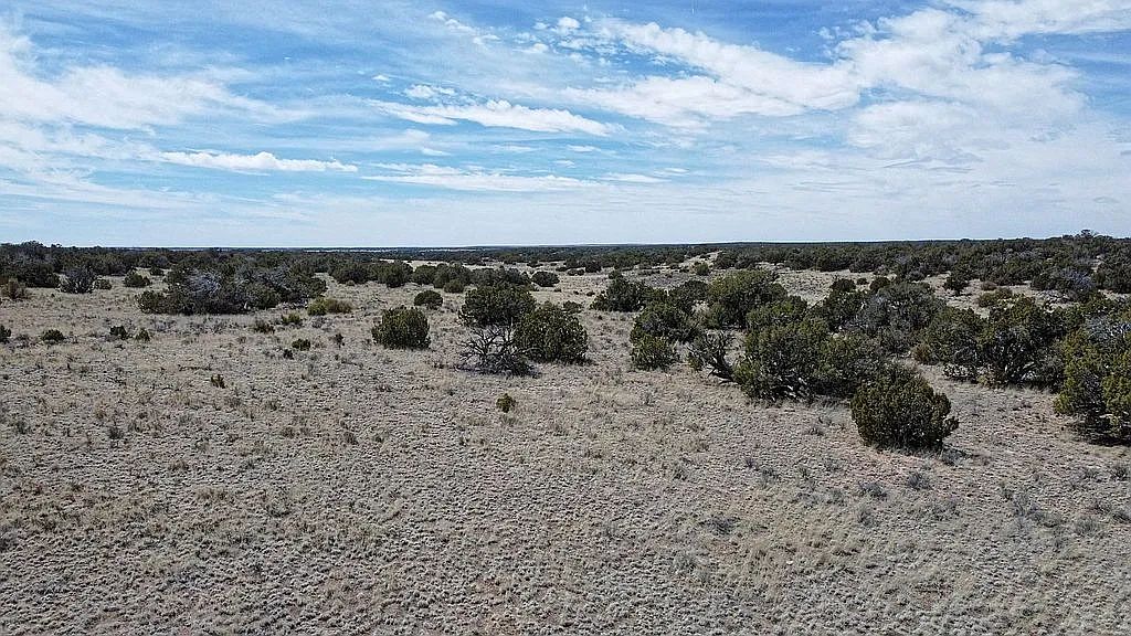 Two Lots, Endless Potential 2.04 Acres, Apache, Arizona 206-10-169 and 206-10-170 - Image 2