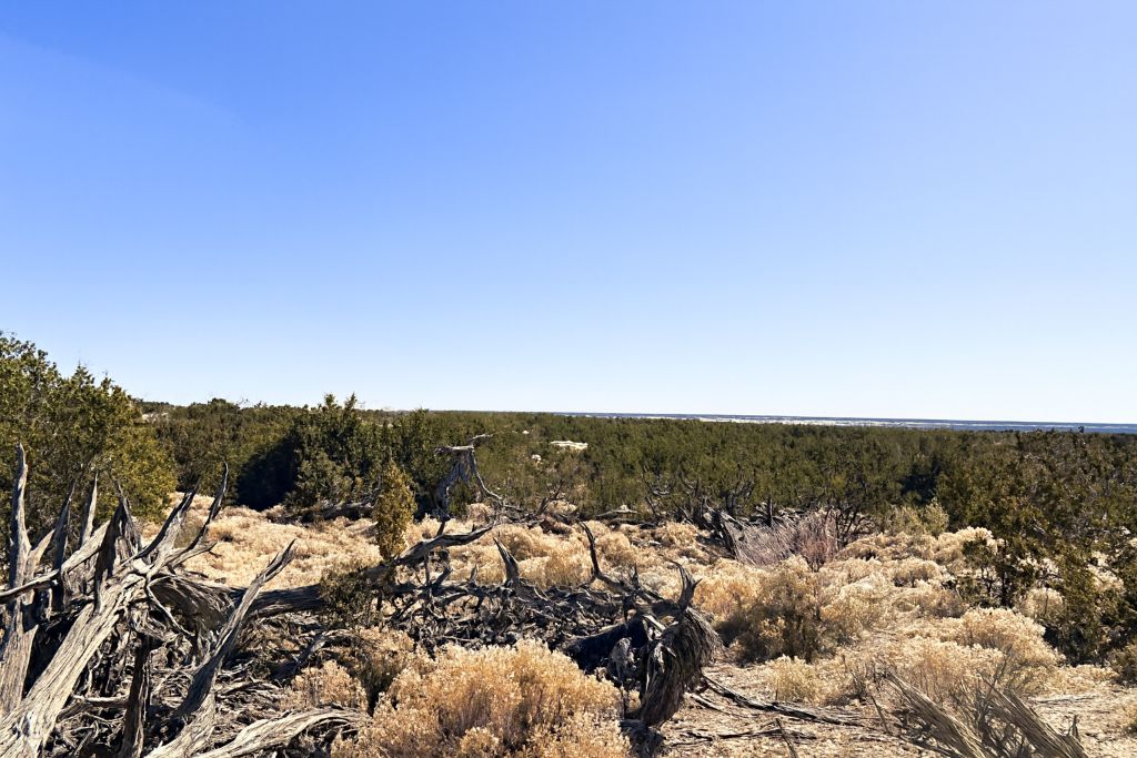 Wide-Open Desert Retreat 13.83 Acres, Apache, Arizona 206-13-174, 206-13-175 and 206-13-176 - Image 2