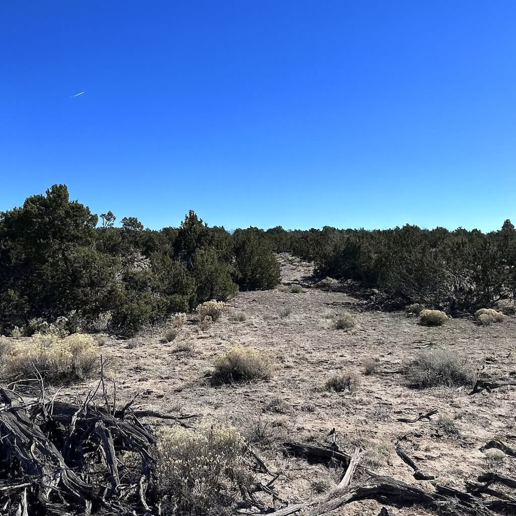 Wide-Open Desert Retreat 13.83 Acres, Apache, Arizona 206-13-174, 206-13-175 and 206-13-176 - Image 7