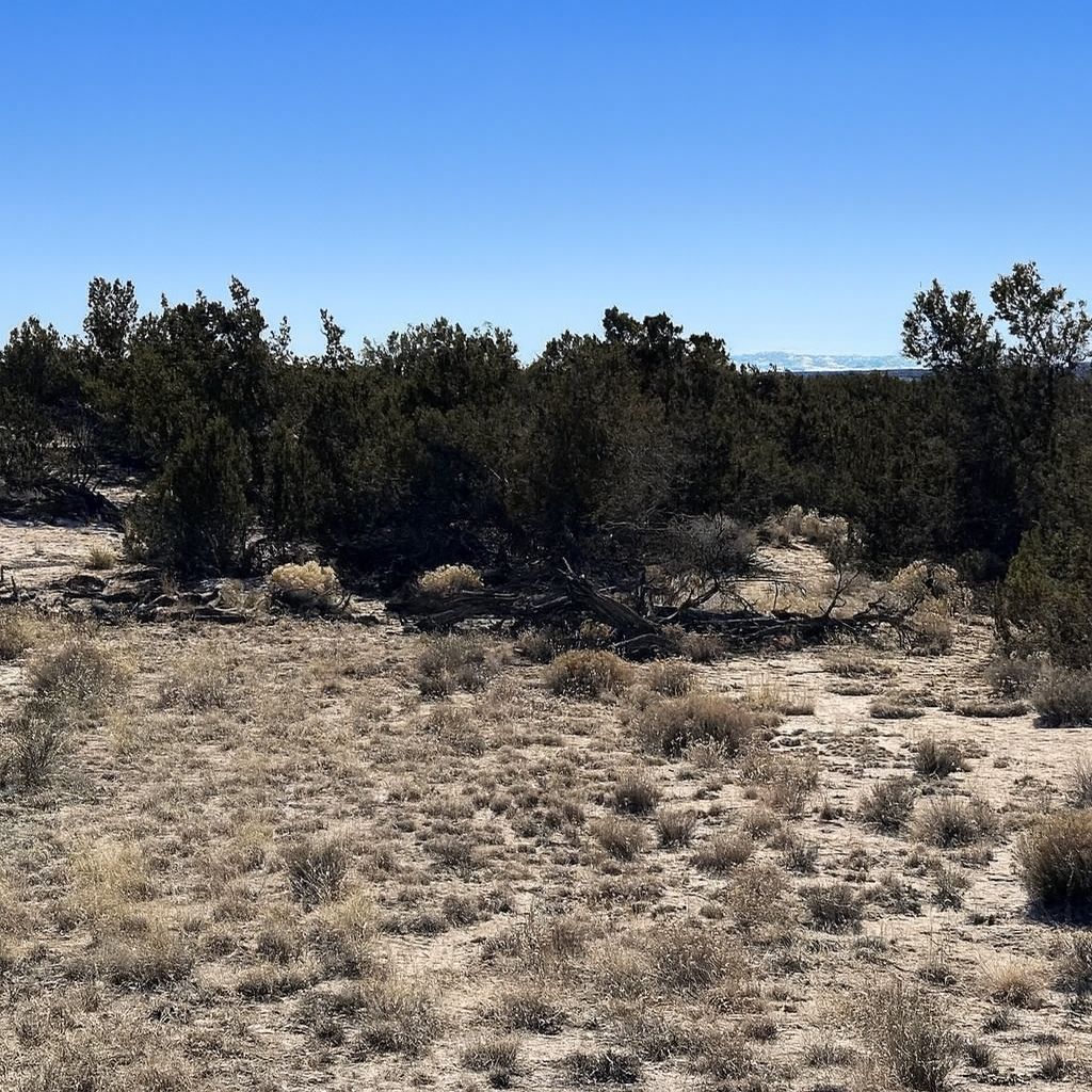Two Lots, Endless Potential 2.04 Acres, Apache, Arizona 206-10-169 and 206-10-170 - Image 8
