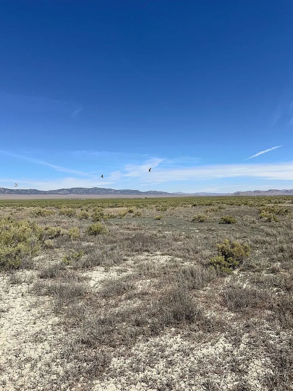 Prime Open Space Land 32.8 Acres, Elko, Nevada 010-79B-011 - Image 8